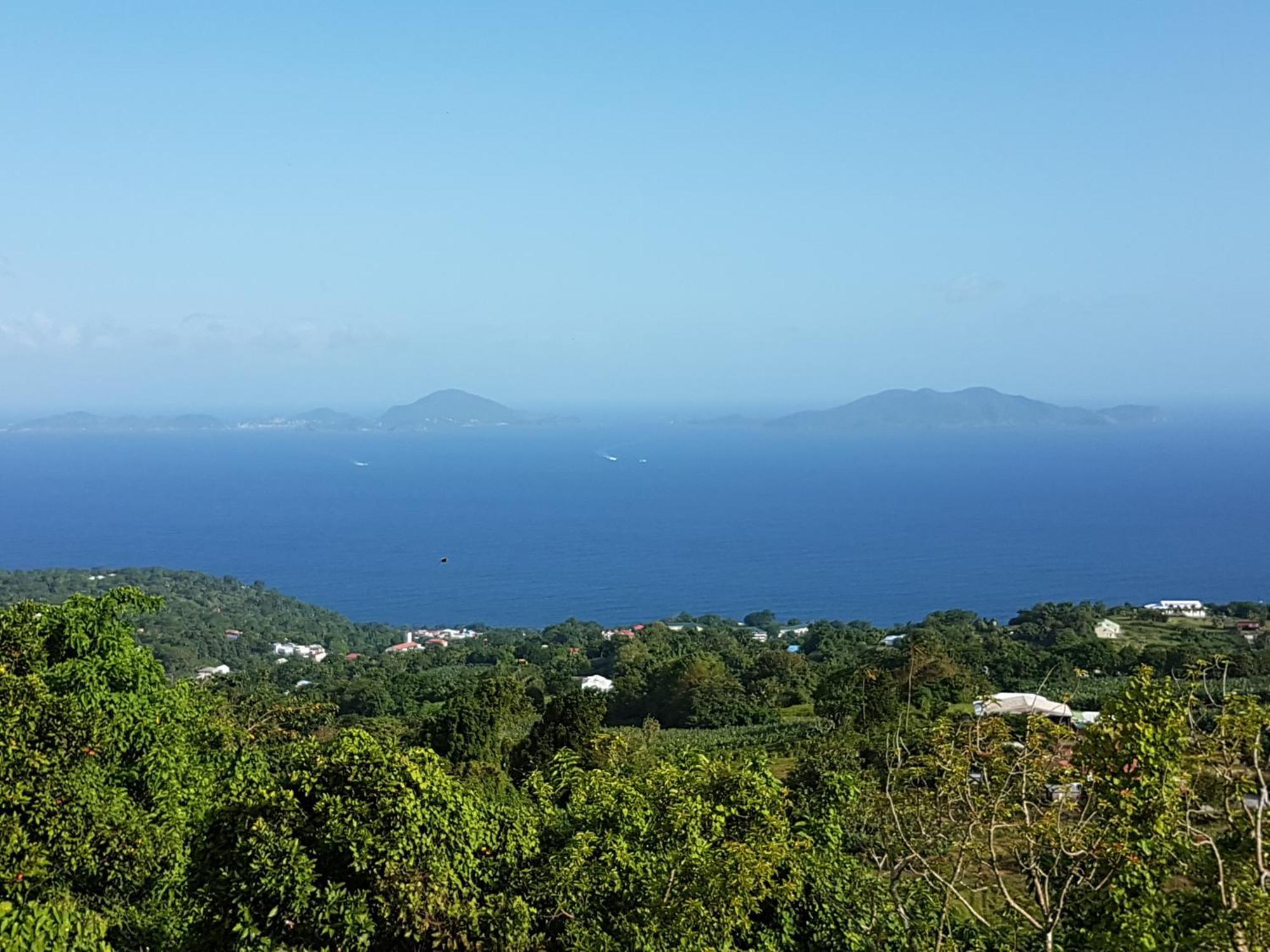 Trois-Rivières L'Ilot Fruits Guadeloupe 빌라 외부 사진